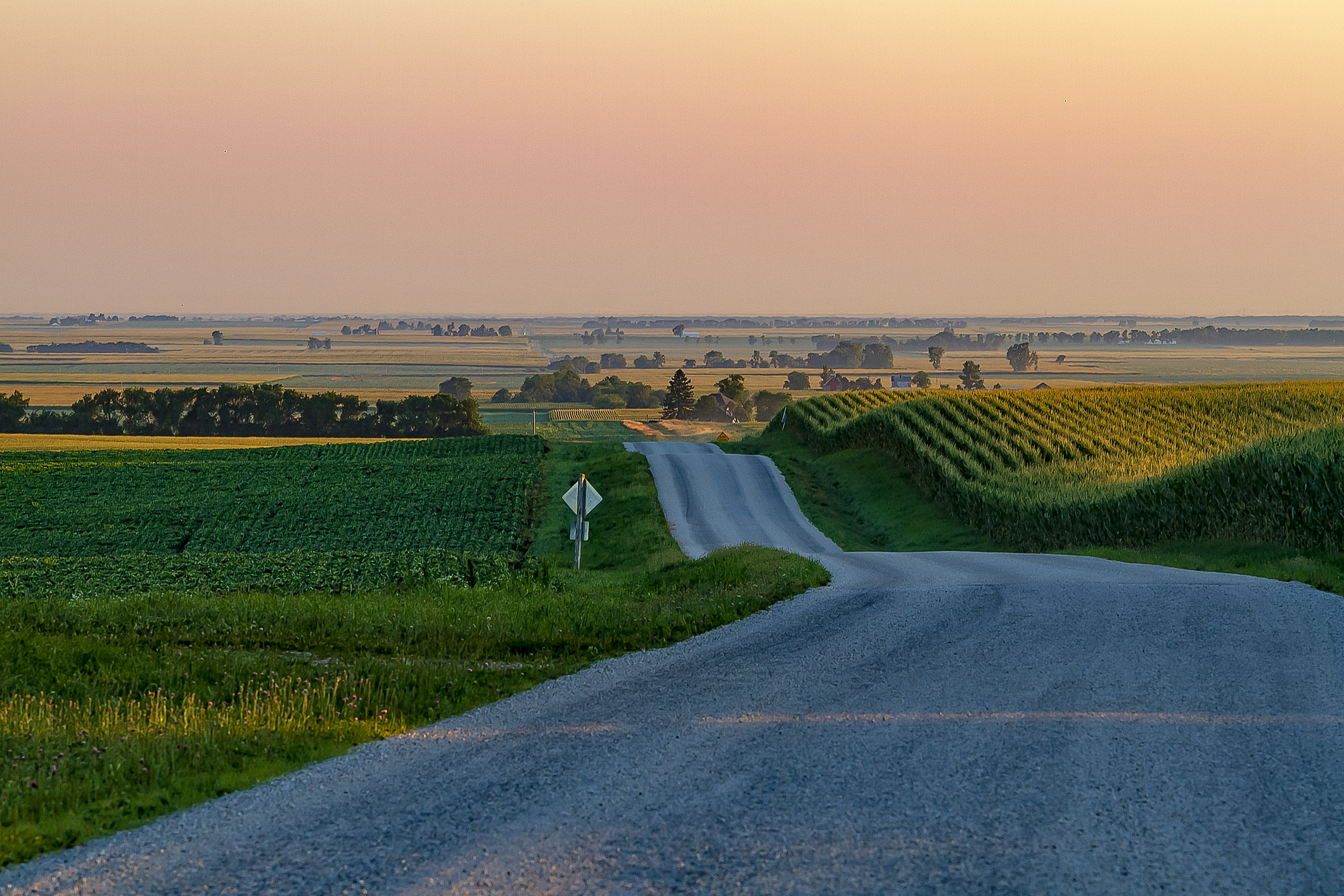 More South Than the Others